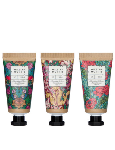 copy of Morris Sunflower...