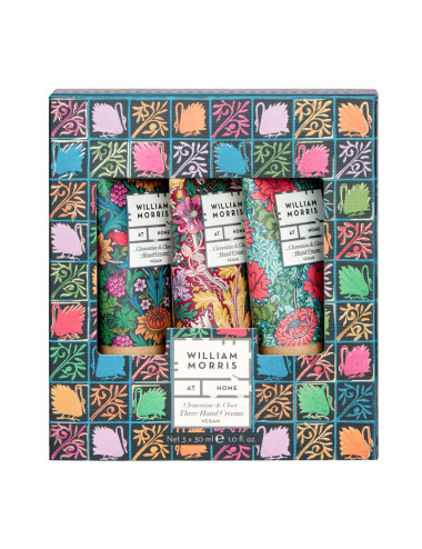 copy of Morris Sunflower...