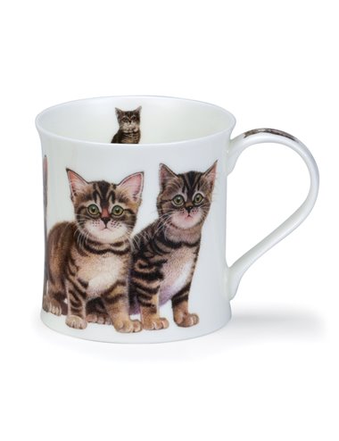 Tasse Wessex Kitten Tabby 0.3l