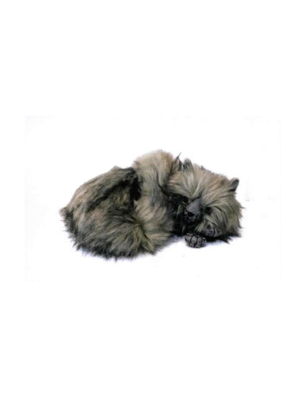 Türstopper - Cora Curled Cat