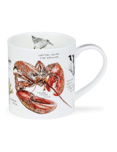 Tasse Orkney Seaside Notebook Lobster 0.35l