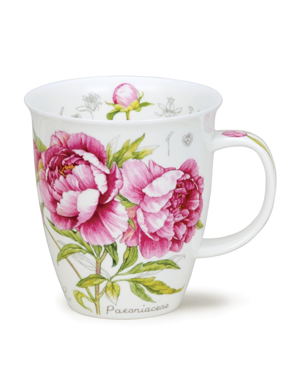 Tasse NEVIS Botanical Sketch Agapanthus 0.48l
