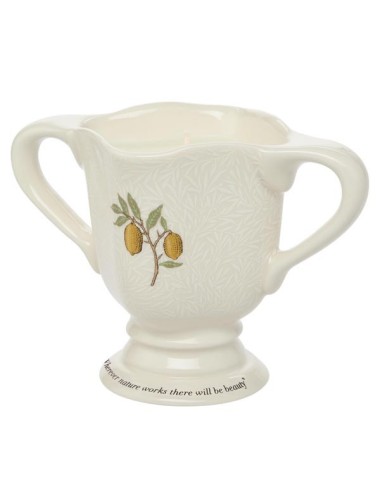 Morris Homemaker Lemonella Candle 280g