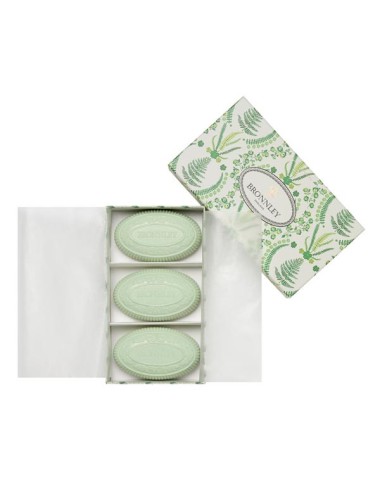 English Fern Seifen 3x100g