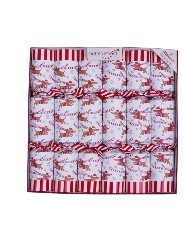 Christmas Crackers Box 6stk - Racing Sausage Dog