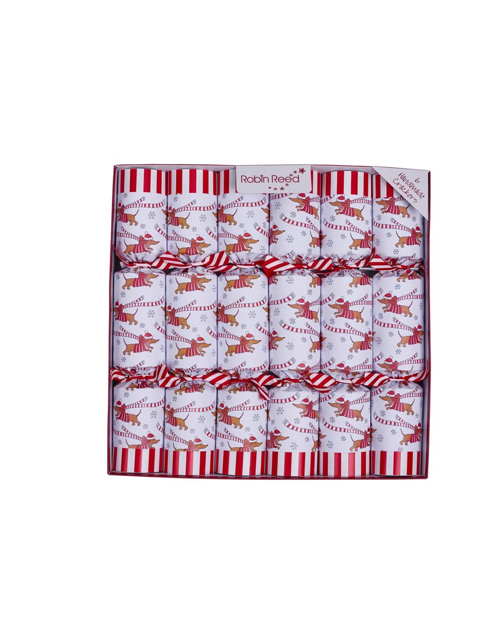 Christmas Crackers Box 6stk - Racing Sausage Dog