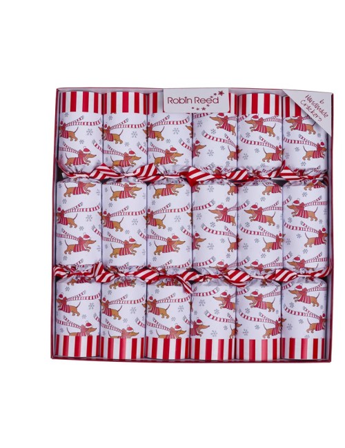 Christmas Crackers Box 6stk - Racing Sausage Dog