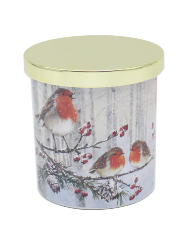 Christmas Robin - Bougie