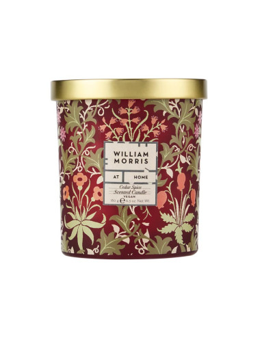 Oak & Willow – Candela profumata Cedar Spice 180 g